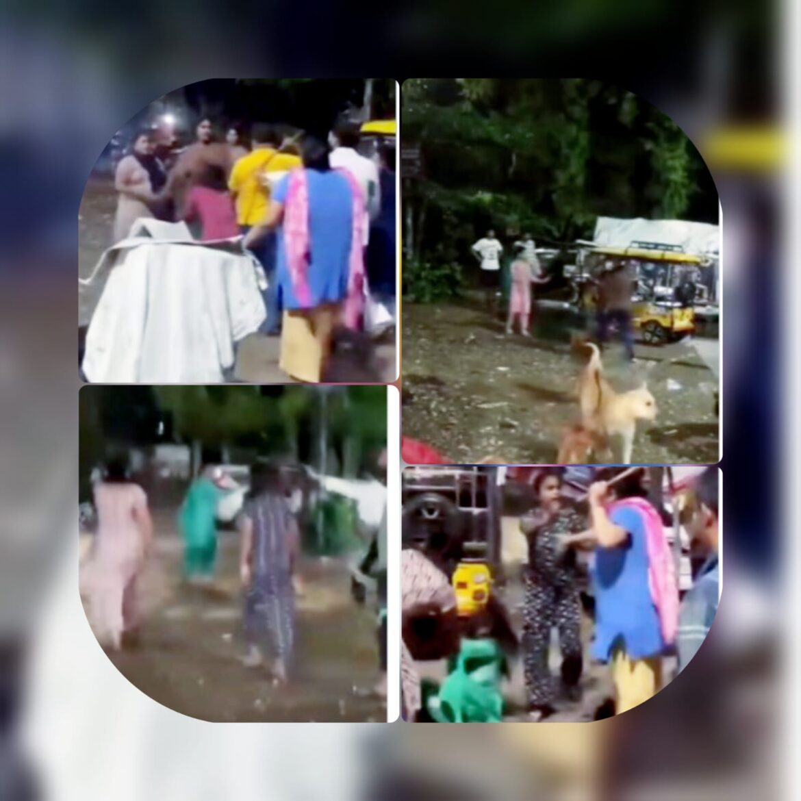 हरिद्वार में दो पक्षों में लाठी-डंडों से जबरदस्त झड़प, महिलाओं की भी मारपीट