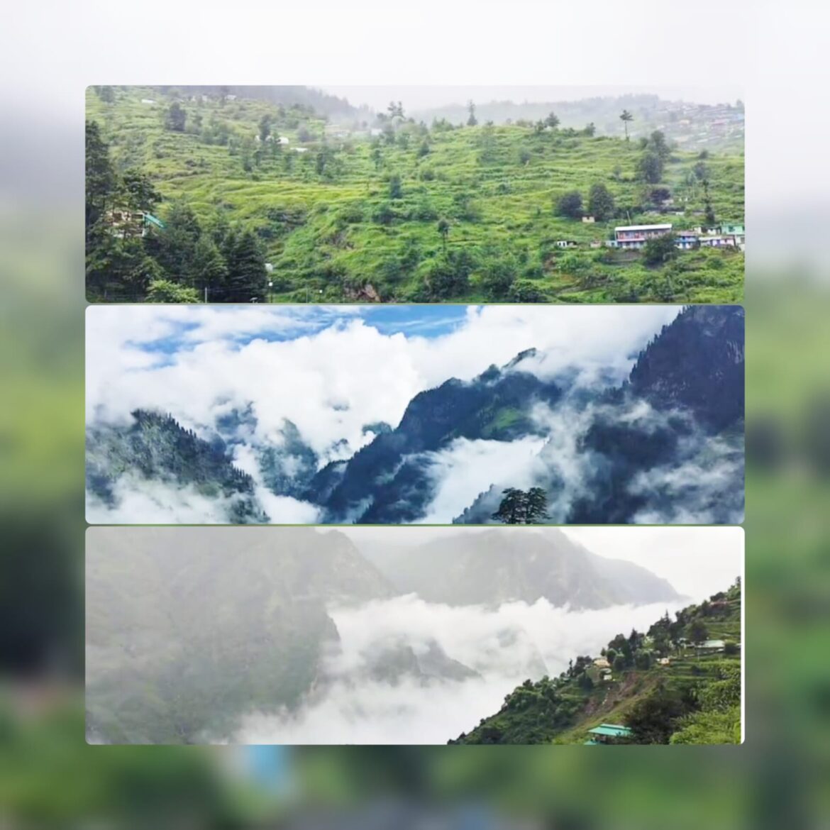 चमोली में ऑरेंज अलर्ट का असर, ज्योतिर्मठ सहित सीमांत क्षेत्रों में झमाझम बारिश