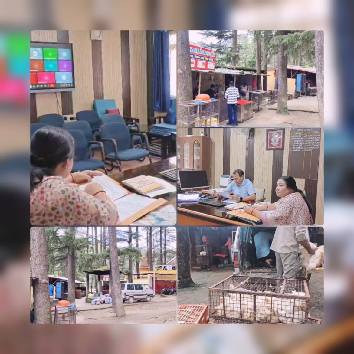 मुरादाबाद में बर्ड फ्लू की पुष्टि, चम्पावत में सतर्कता बढ़ी