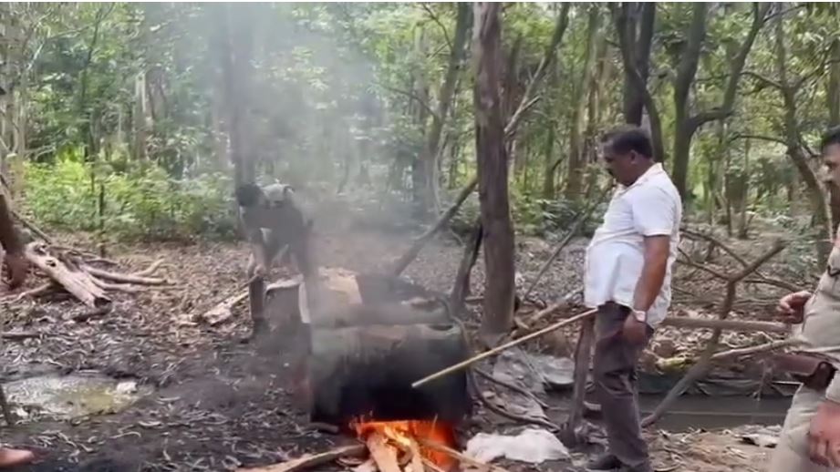 जंगल में छापेमारी: 210 लीटर कच्ची शराब बरामद, 6000 किलो लाहन नष्ट