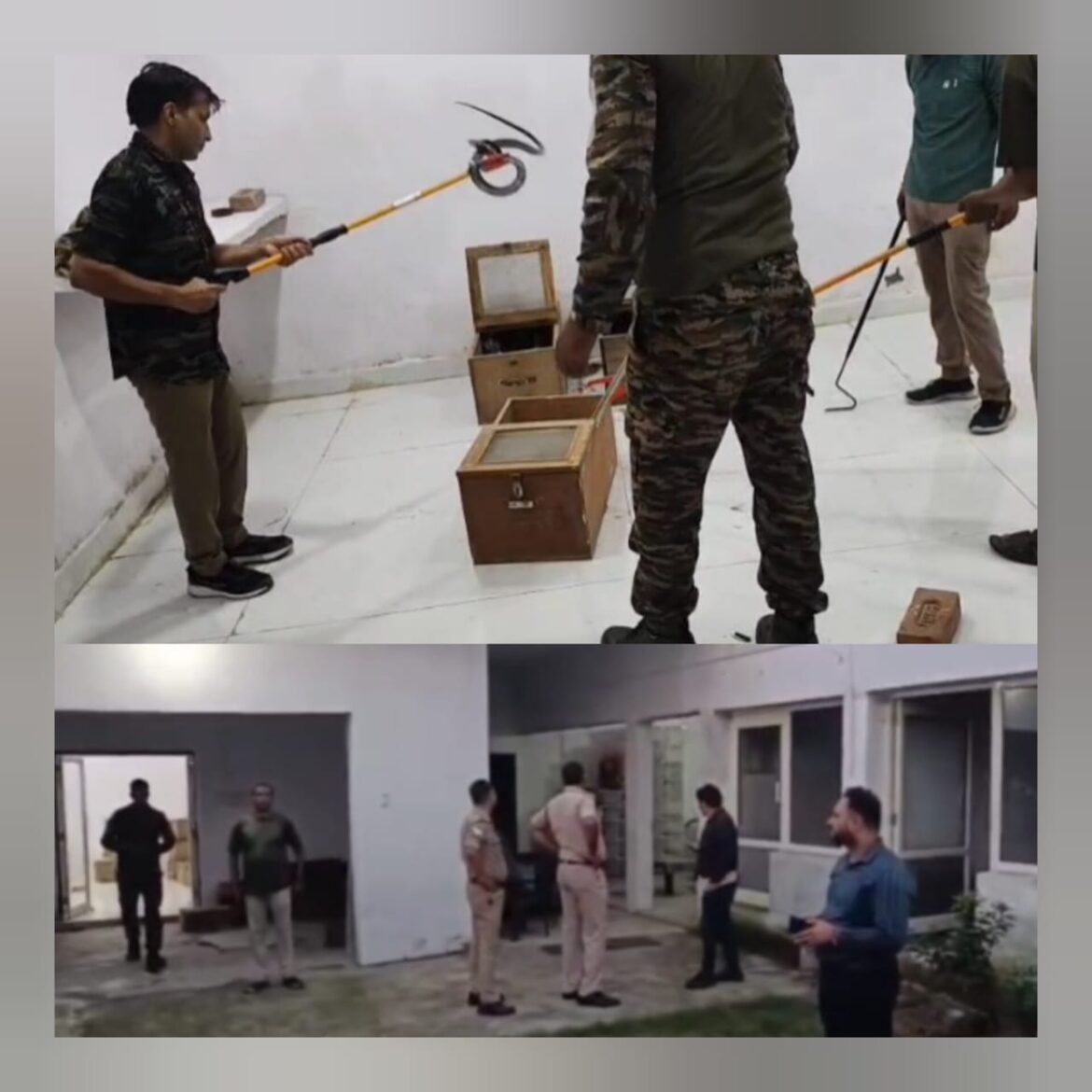 रुड़की में सांपों के ज़हर की तस्करी का भंडाफोड़, 86 ज़हरीले सांप बरामद