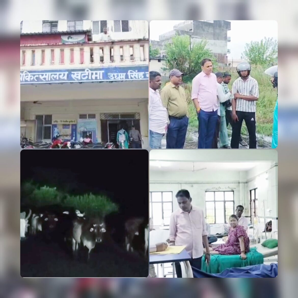 खटीमा में दर्दनाक सड़क हादसा: मवेशी से टकराकर दो युवकों की मौत, एक गंभीर