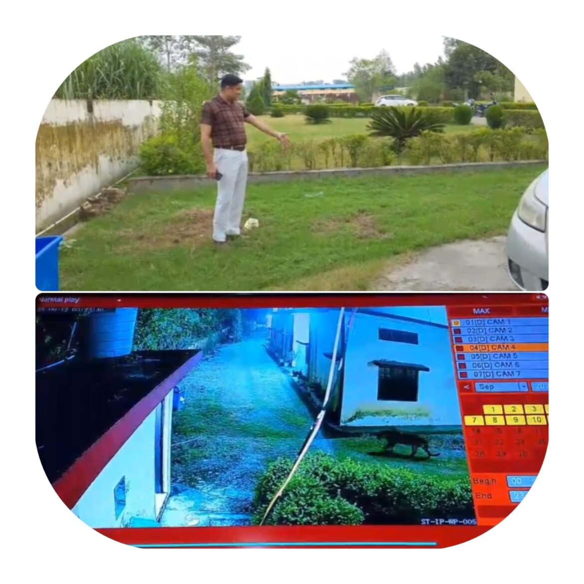 धनौरी क्षेत्र के मेडिकल कॉलेज में गुलदार की दस्तक, सीसीटीवी में कैद हुई तस्वीरें