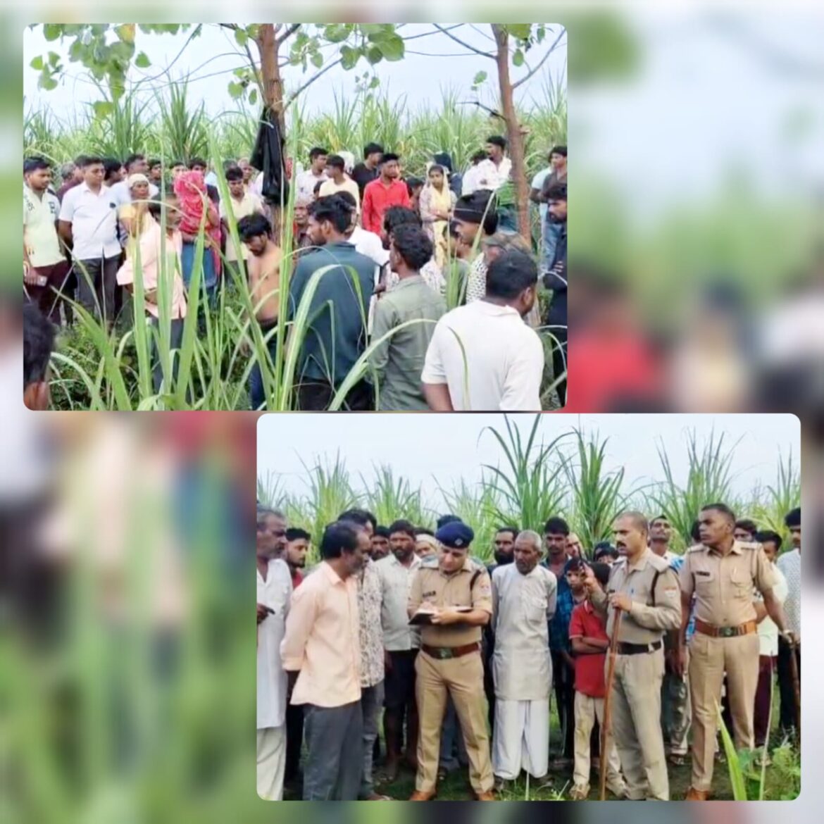 मंगलौर: मन्नाखेड़ी गांव के जंगल में पेड़ से लटका मिला युवक का शव, क्षेत्र में सनसनी