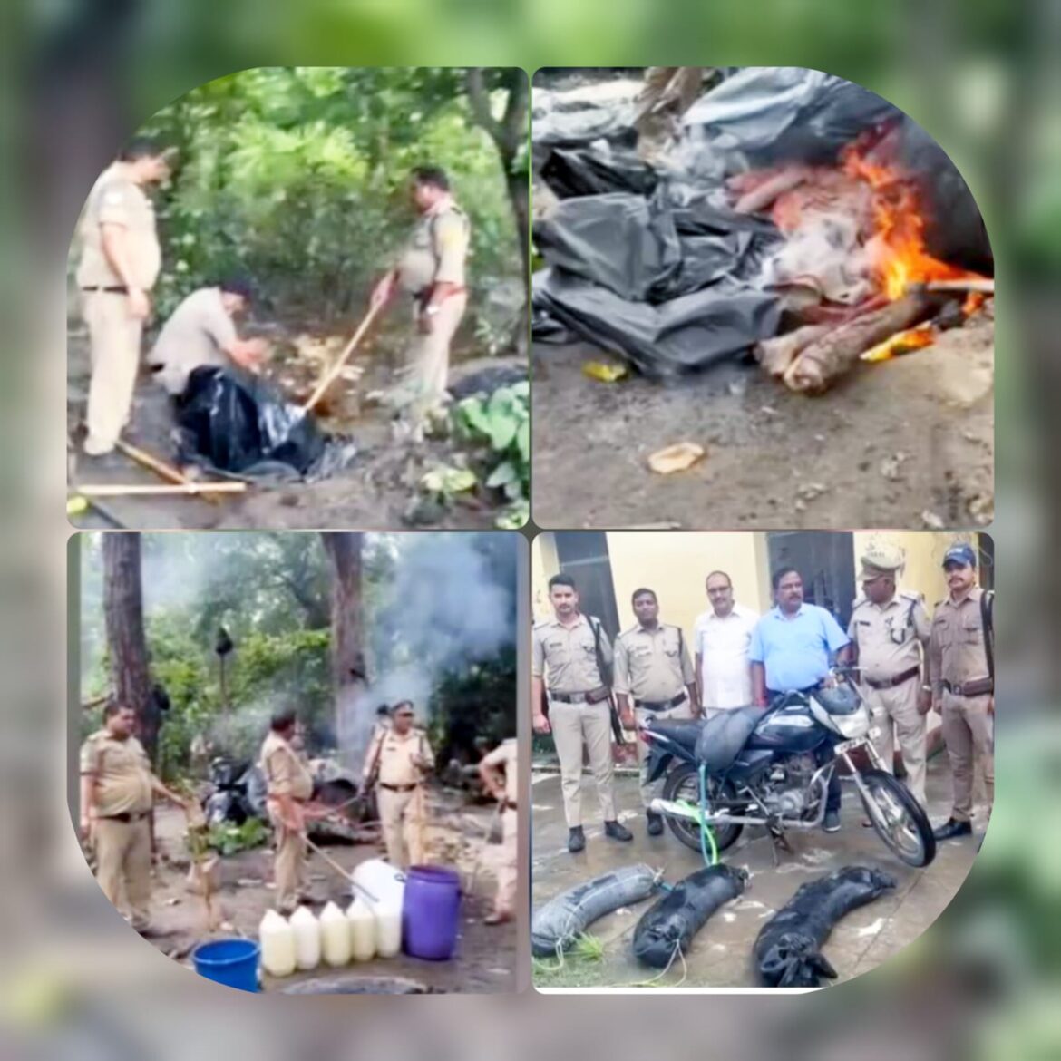 खटीमा: विशेष प्रवर्तन अभियान में 310 लीटर अवैध कच्ची शराब बरामद, दो भट्टियां और 5000 किलो लहन नष्ट