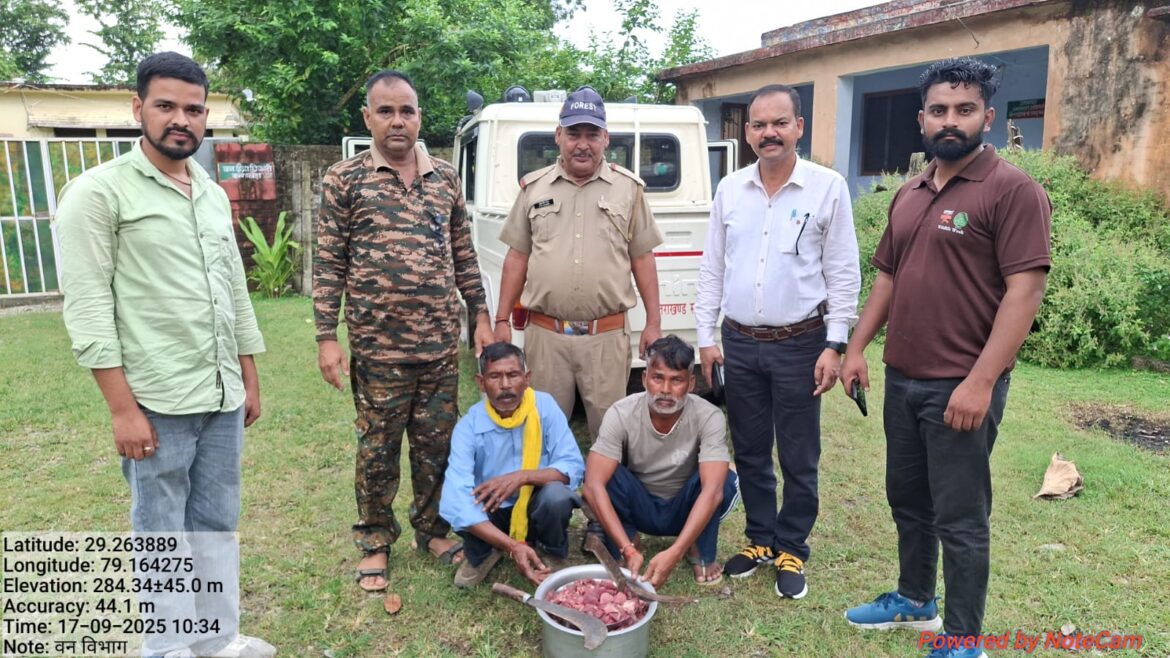 बाजपुर के बन्नाखेड़ा में बन विभाग की छापेमारी, प्रतिबंधित चीतल मांस बरामद — दो आरोपी गिरफ्तार