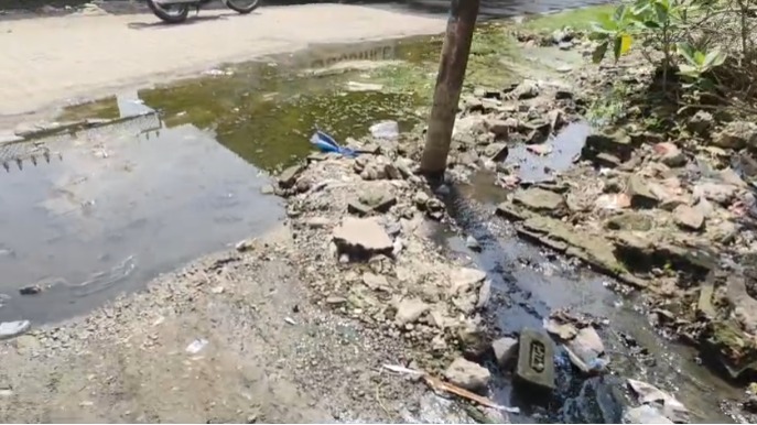 हरिद्वार में डेंगू-चिकनगुनिया रोकथाम को सफाई व फॉगिंग अभियान तेज