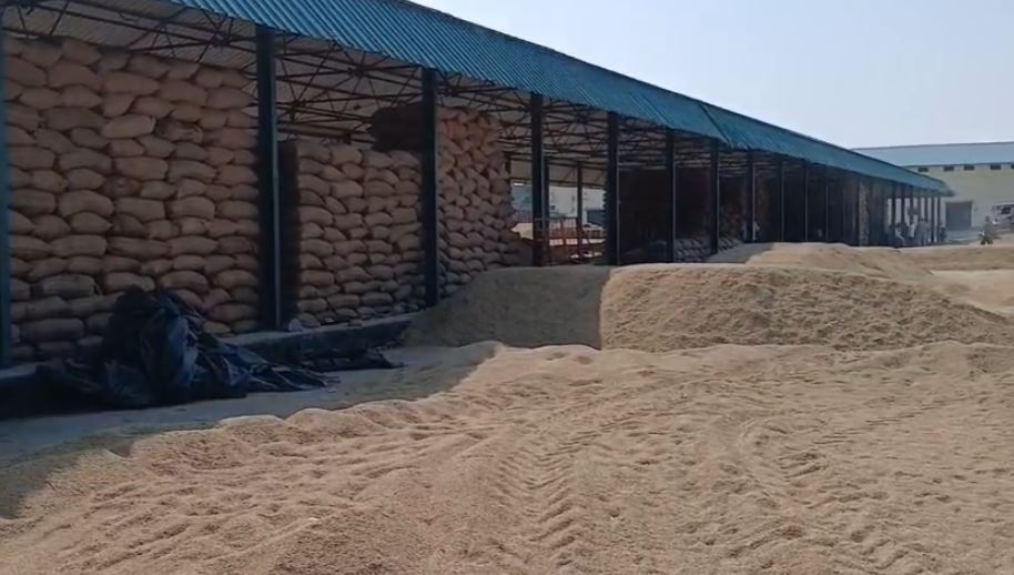 सरकार के तय दाम पर किसानों को मिल रहा फायदा — 50 हजार क्विंटल धान की हुई खरीद