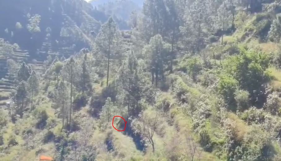 बिरोखाल में बाघ का आतंक: ग्रामीणों ने वन विभाग से सुरक्षा की मांग की