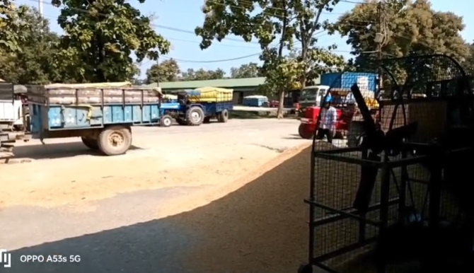 खटीमा: धान खरीद में बारदाने की किल्लत से परेशान किसान, मंडी में उठे सवाल