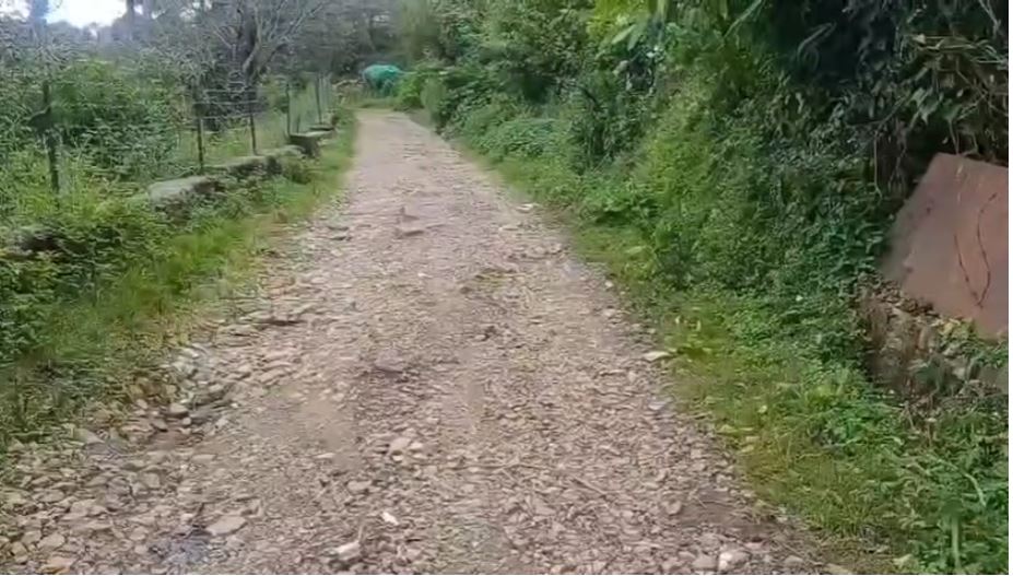 चोमेल-रेगड़ू सड़क बदहाल, ग्रामीण व वाहन चालक खतरे में