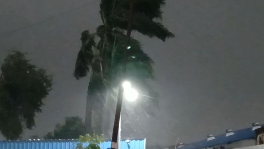 सितारगंज में अचानक तेज बारिश और आंधी, किसानों की फसल को बड़ा खतरा