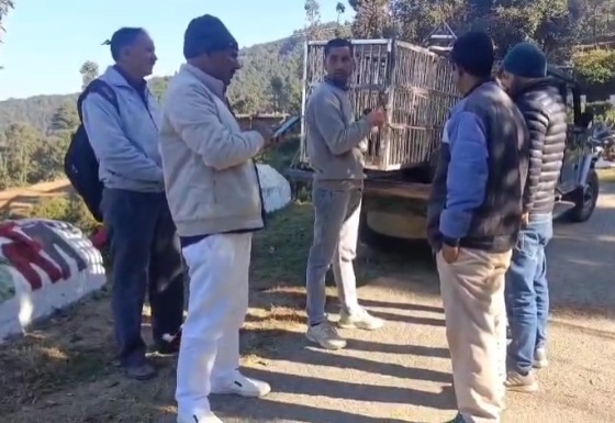 लोहाघाट में गुलदार हमला: पूर्व विधायक पूरन सिंह फर्त्याल ने मृतक परिवार से की मुलाकात, वन विभाग से तेज कार्रवाई की मांग