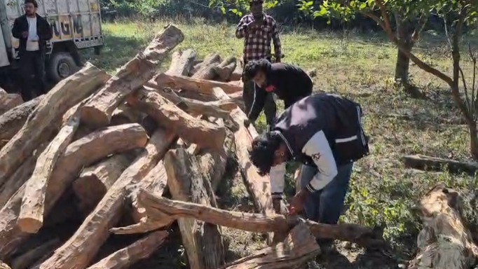 बाजपुर में वन विभाग ने अवैध खैर लकड़ी के गोदाम पर किया छापा