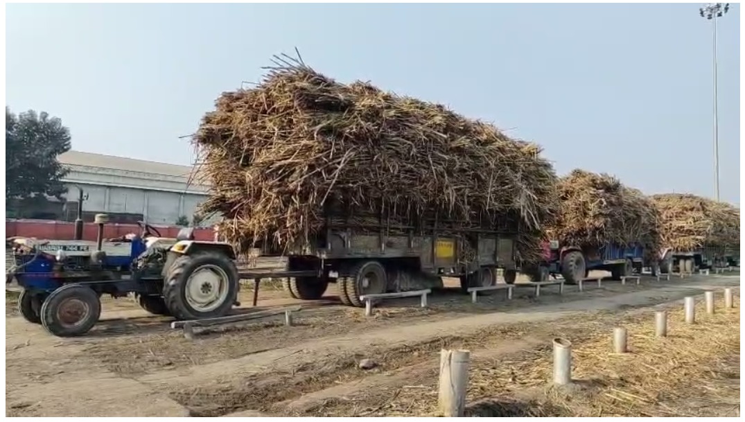 उत्तराखण्ड में गन्ना मूल्य में बढ़ोतरी, मुख्यमंत्री पुष्कर सिंह धामी ने दी स्वीकृति