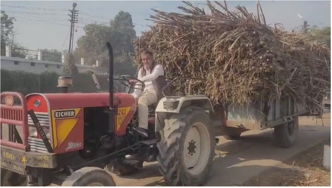 उत्तराखंड में गन्ना मूल्य घोषित: अगेती ₹405 और पछेती ₹395, किसानों ने जताई असंतुष्टि