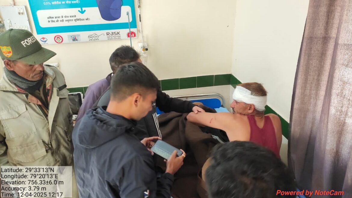 रानीखेत: ग्राम पटोड़ी में गुलदार का हमला, एक व्यक्ति गंभीर रूप से घायल