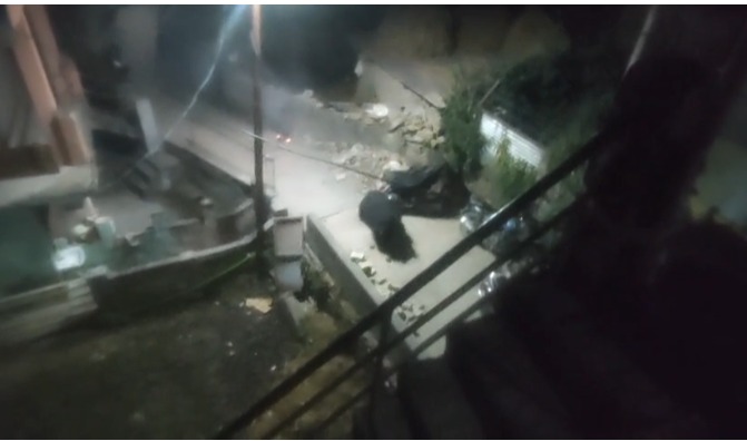 ज्योर्तिमठ में भालू का आतंक जारी, आबादी में अफरा-तफरी—वन विभाग की टीम अलर्ट