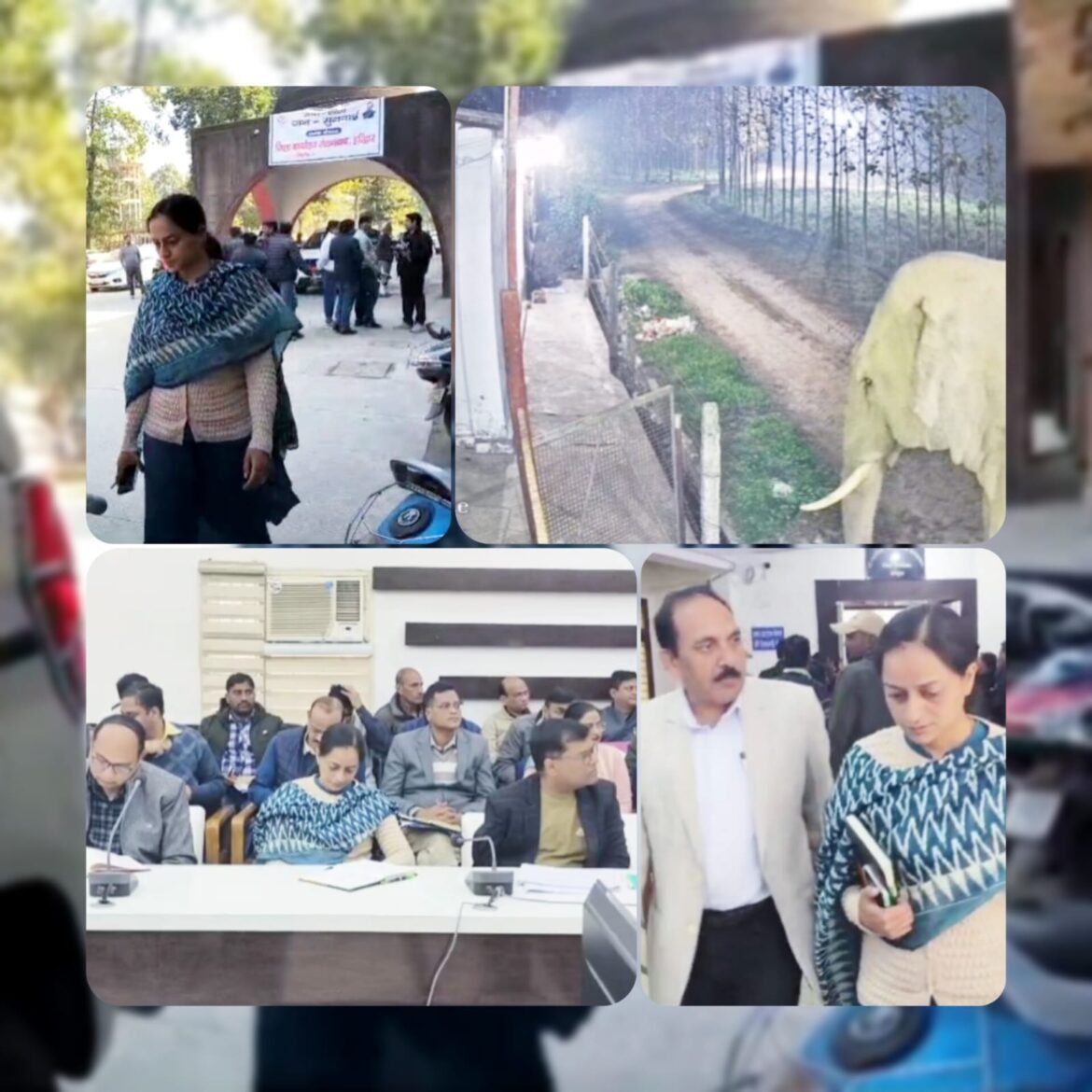 हरिद्वार में हाथियों की दस्तक से गन्ना किसानों में हड़कंप, आंदोलन की तैयारी