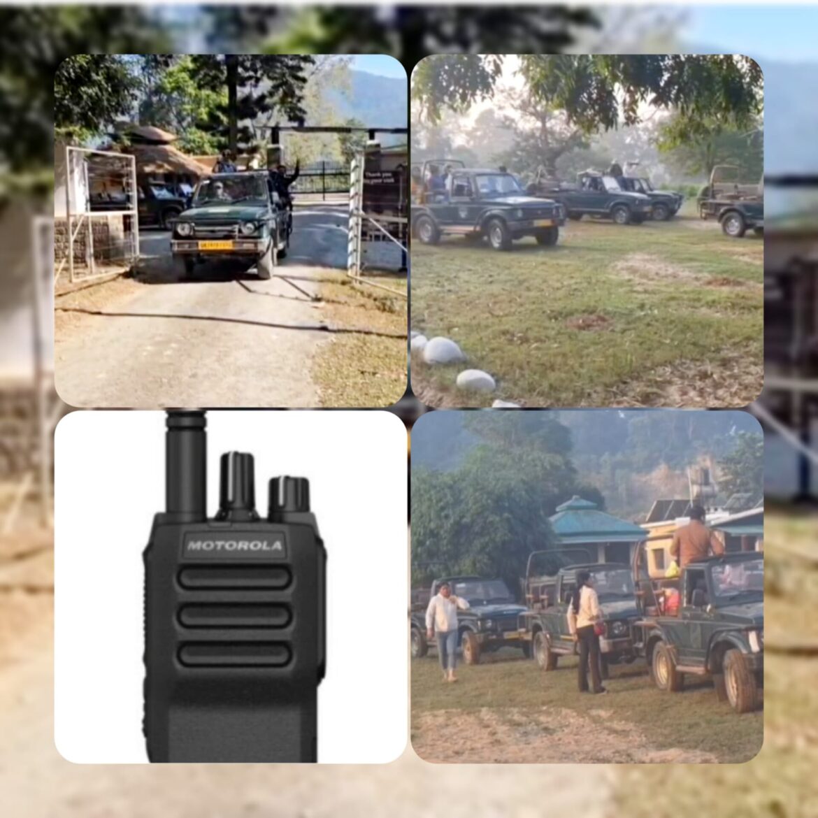 कॉर्बेट में नियम तोड़ने पर सख्त कार्रवाई, लखनऊ का पर्यटक छह माह के लिए ब्लैकलिस्ट