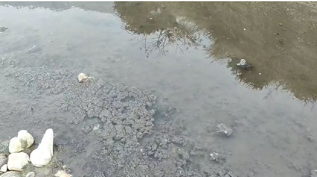 ज्ञानसू में जल संस्थान की लापरवाही, गंगा भागीरथी में बह रहा सीवर का गंदा पानी