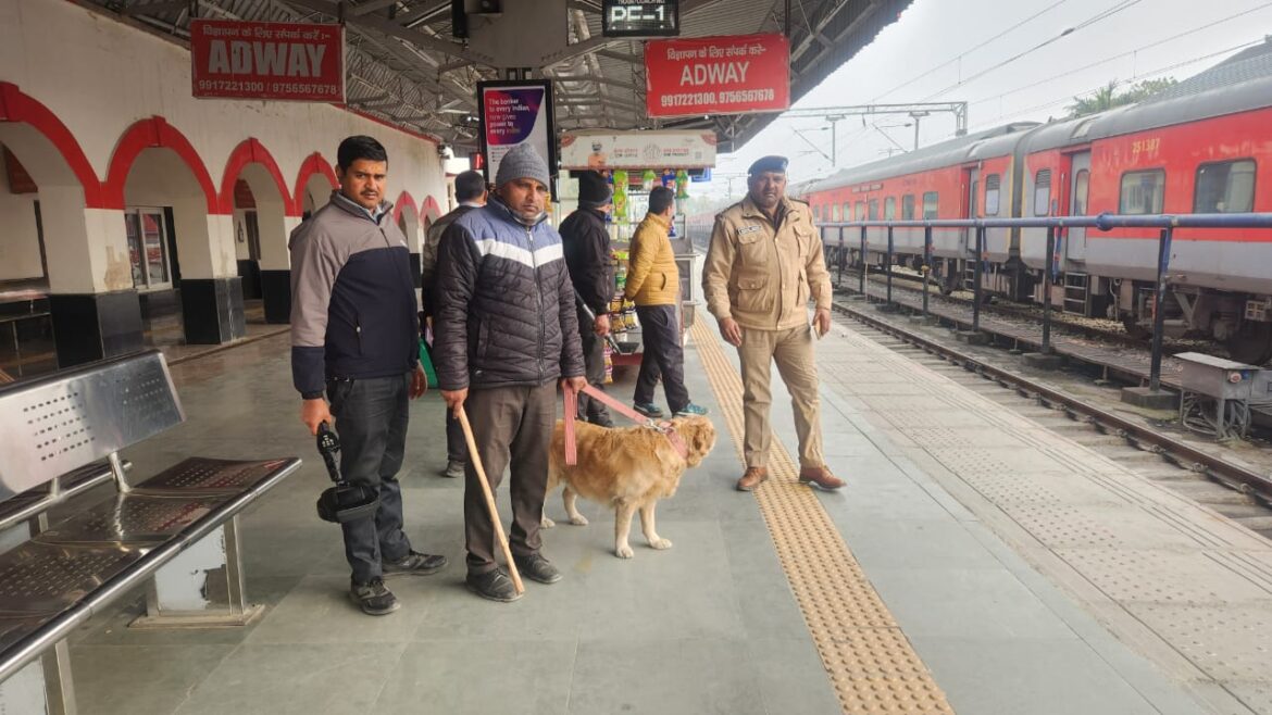 नववर्ष जश्न के दौरान हुड़दंगियों पर नैनीताल पुलिस का सख्त पहरा, 51 आरोपियों पर कार्रवाई