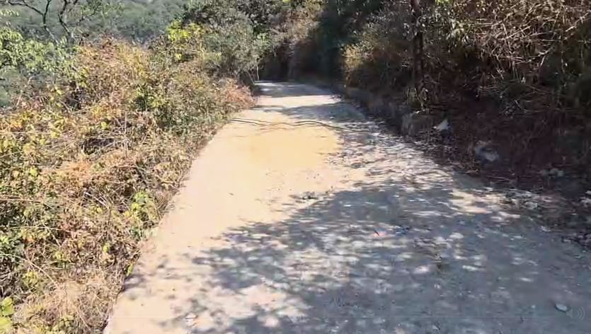 झड़ीपानी- कुल्हूखेत मार्ग की मरम्मत की मांग बढ़ी