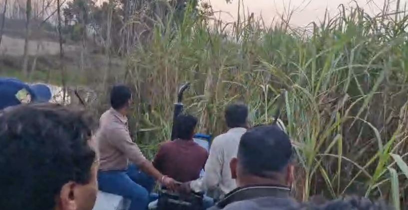 लक्सर के निरंजनपुर-भगतनपुर मार्ग पर गुलदार का आतंक, किसानों में दहशत