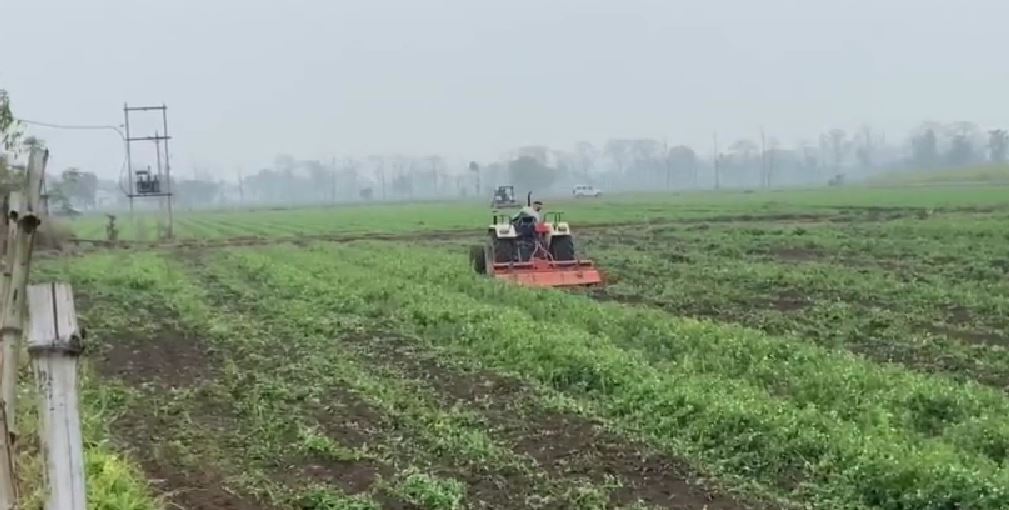 खटीमा में 120 एकड़ खड़ी फसल रौंदे जाने का आरोप, विधायक भुवन चंद्र कापड़ी ने की उच्चस्तरीय कार्रवाई की मांग