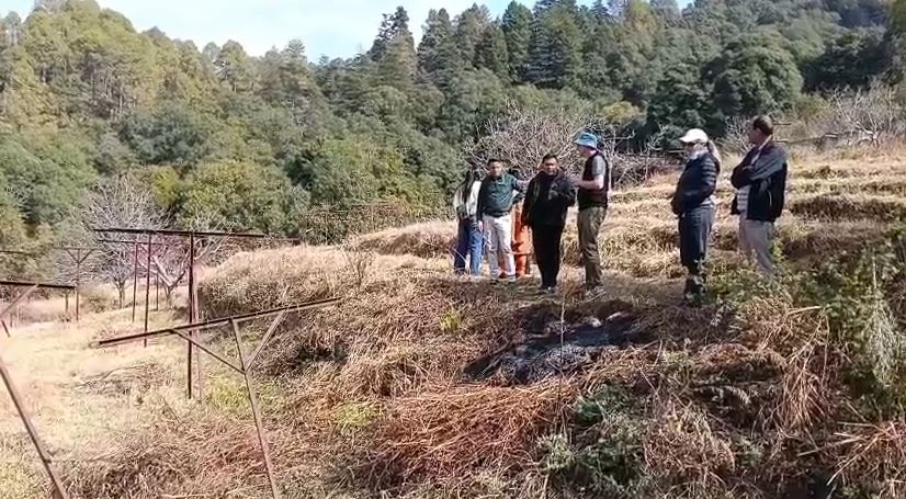 उत्तराखंड में कीवी उत्पादन को मिलेगा नया आयाम, न्यूजीलैंड वैज्ञानिकों ने चौबटिया गार्डन का किया निरीक्षण