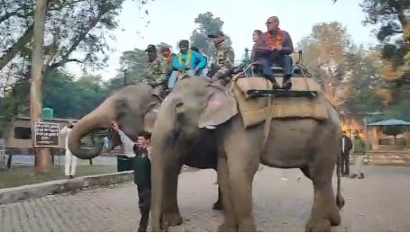 राजाजी टाइगर रिजर्व में फिर शुरू हुई एलिफेंट सफारी, पर्यटकों की बढ़ी आवाजाही