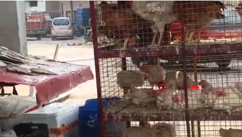 अवैध मीट की दुकानों पर कार्रवाई की तैयारी