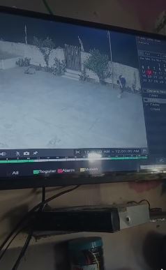 ग्राम बेरिया दौलत स्थित मां बाल सुंदरी मंदिर में चोरी, दान पात्र से नगदी साफ