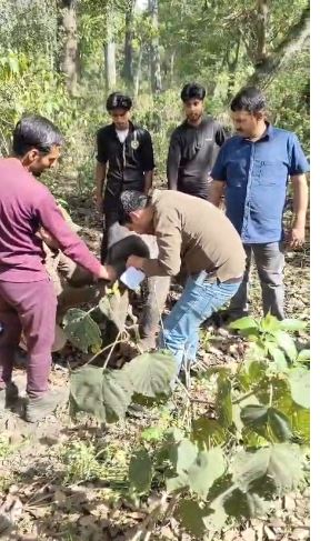लच्छीवाला जंगल में बिछड़ा हाथी का शावक, वन विभाग ने किया सुरक्षित रेस्क्यू