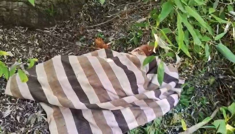 भीमताल के ज्योली गांव में गुलदार का हमला, महिला की मौत से फैली दहशत