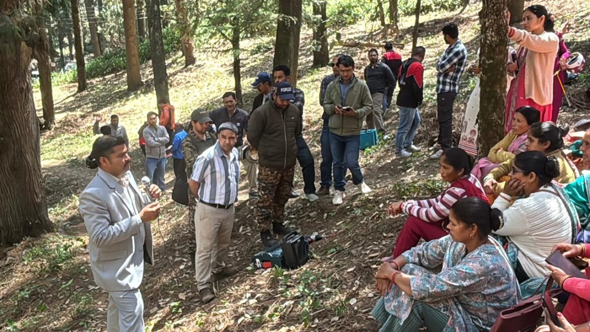 ग्रामीण महिलाओं को स्वरोजगार से जोड़ने नई पहल, लीसा विदोहन प्रशिक्षण कार्यक्रम आयोजित