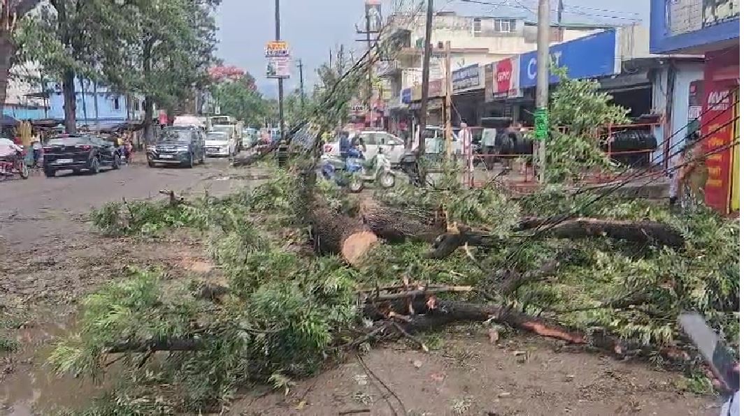 तीर्थनगरी में तेज अंधड़ से जनजीवन प्रभावित, हाईवे पर गिरे पेड़ से लगा जाम
