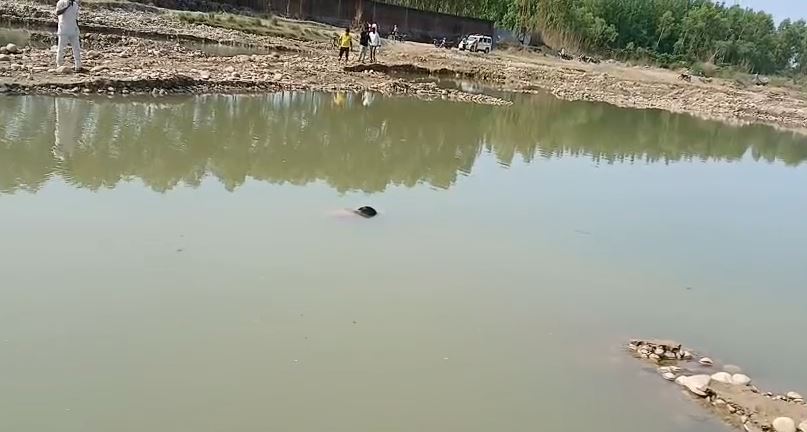 मगरमच्छ के हमले में 12 वर्षीय मासूम की दर्दनाक मौत, बुग्गावाला क्षेत्र में दहशत