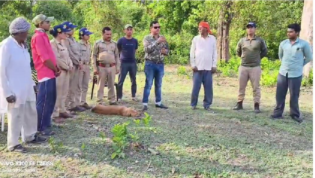 लालकुआं में हाथियों का आतंक, लगातार हमलों से दहशत, वन विभाग अलर्ट