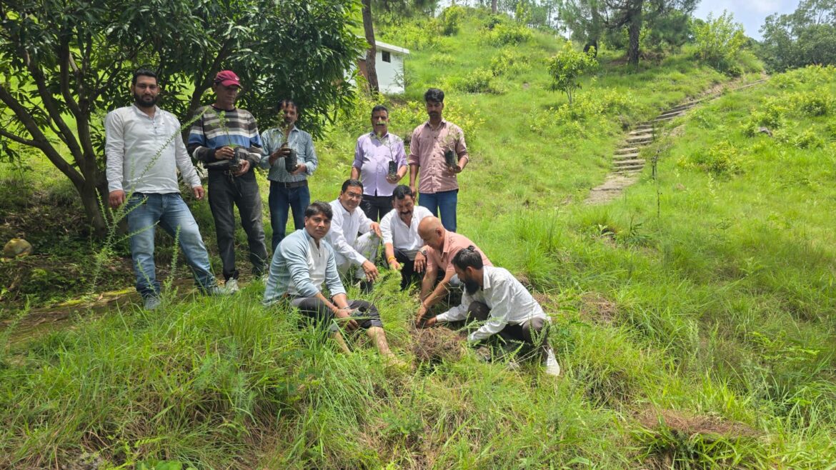 मंदिर परिसर में वृक्षारोपण अभियान, पर्यावरण संरक्षण का दिया संदेश