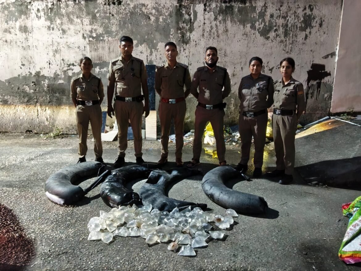 काशीपुर क्षेत्र में आबकारी विभाग की बड़ी कार्रवाई, 235 लीटर अवैध कच्ची शराब बरामद