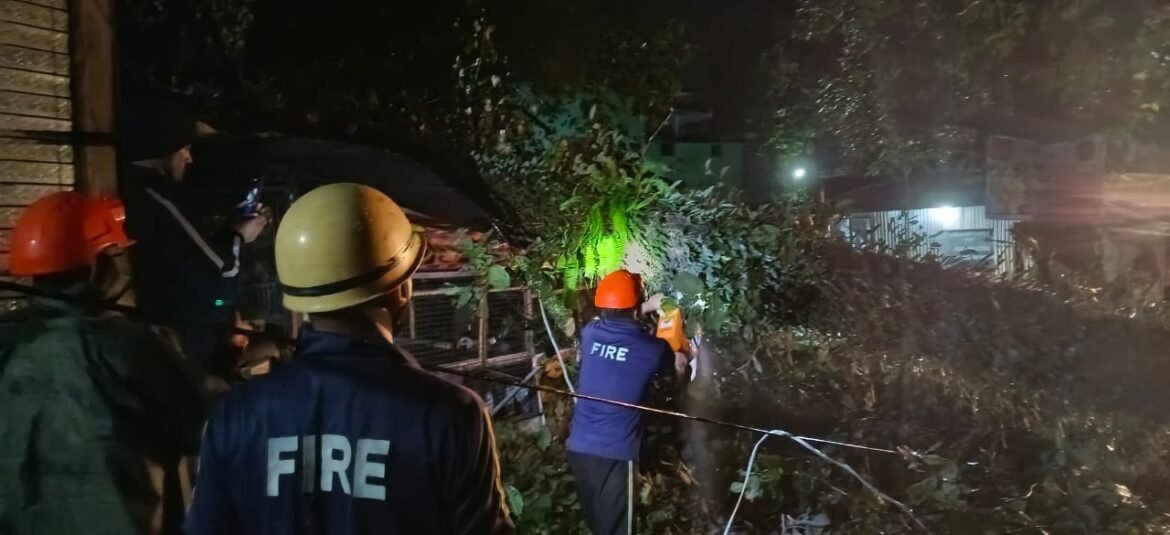 मंडल-चोपता मार्ग पर गिरे दो विशालकाय पेड़, ढाबा क्षतिग्रस्त; फायर टीम ने यातायात कराया सुचारु