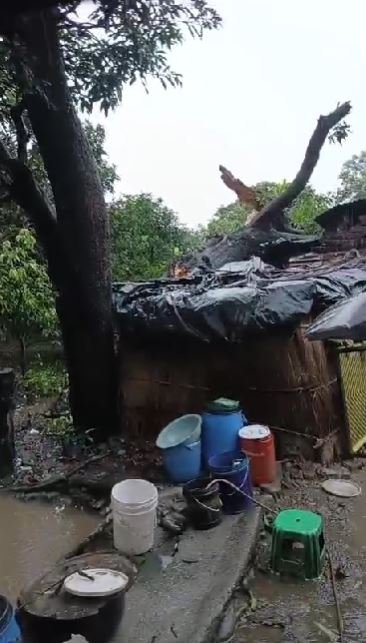 भारी बारिश में चोरगलिया पुलिस का राहत अभियान, पेड़ गिरने से क्षतिग्रस्त मकानों से लोगों को सुरक्षित निकाला