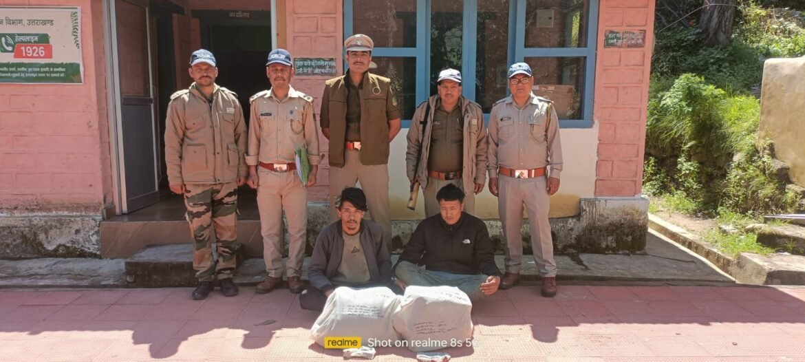 किमाण वन पंचायत में कांबुला की गांठों के साथ दो नेपाली नागरिक गिरफ्तार