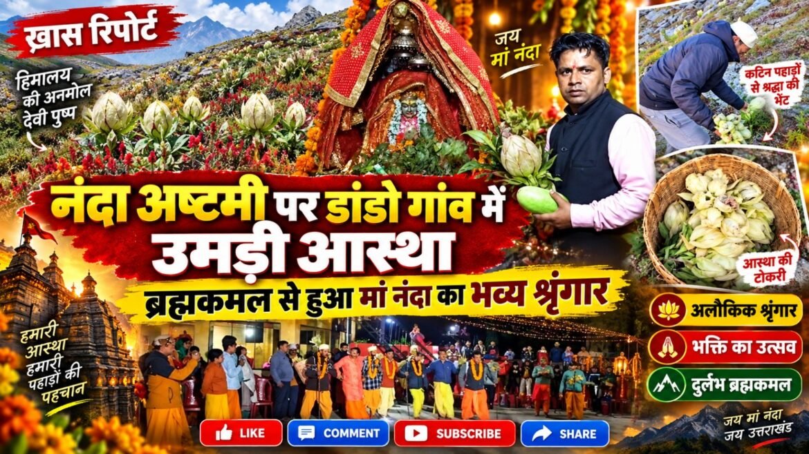 नंदा अष्टमी पर डांडो गांव में उमड़ी आस्था, ब्रह्मकमल से हुआ मां नंदा का भव्य श्रृंगार