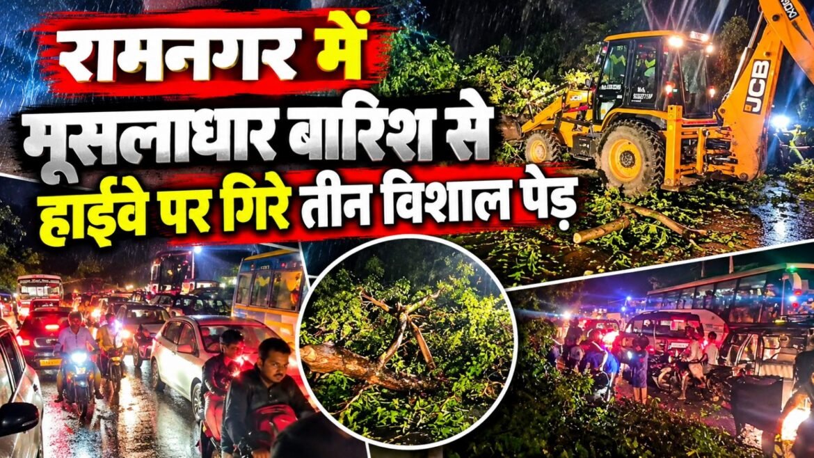 रामनगर में मूसलाधार बारिश से हाईवे पर गिरे तीन विशाल पेड़, एक घंटे तक यातायात बाधित, बड़ा हादसा टला