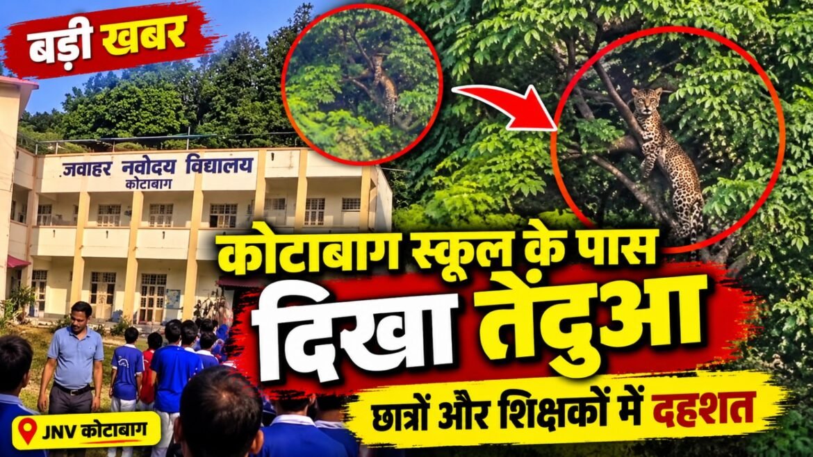 जवाहर नवोदय विद्यालय कोटाबाग के पास दिखा तेंदुआ, छात्रों और शिक्षकों में दहशत