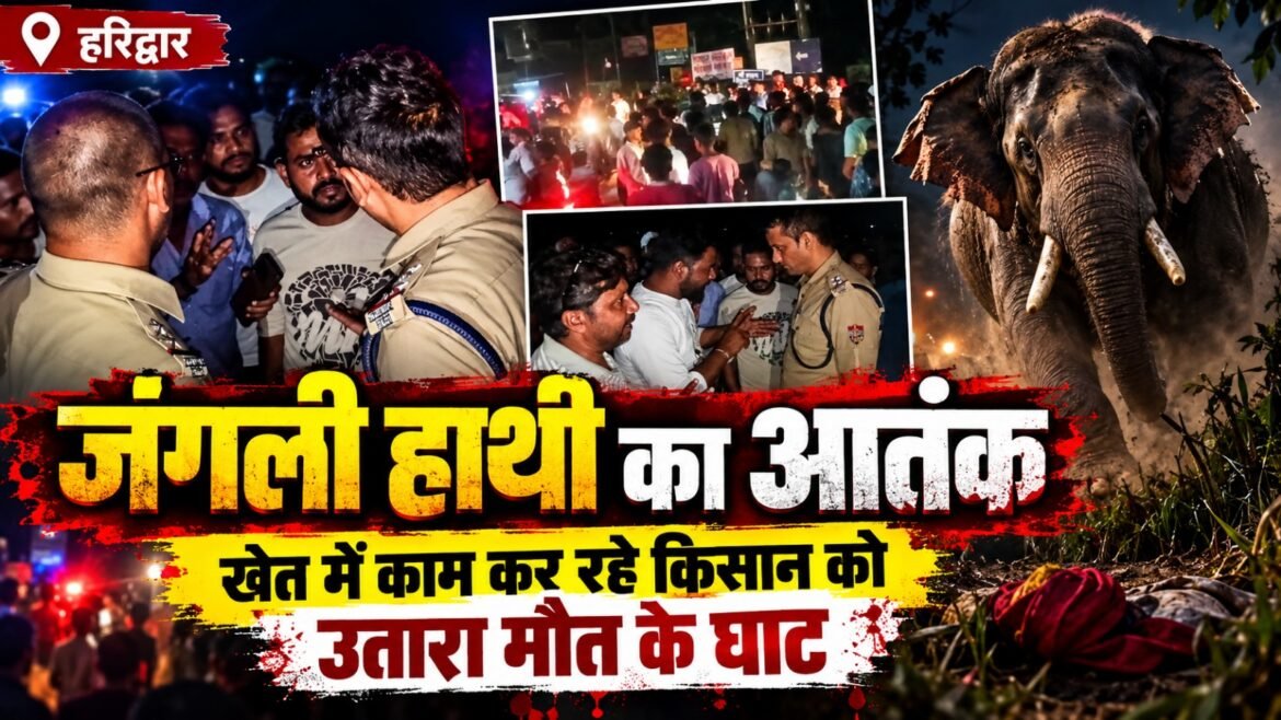 हरिद्वार में जंगली हाथी का आतंक, खेत में काम कर रहे किसान को उतारा मौत के घाट