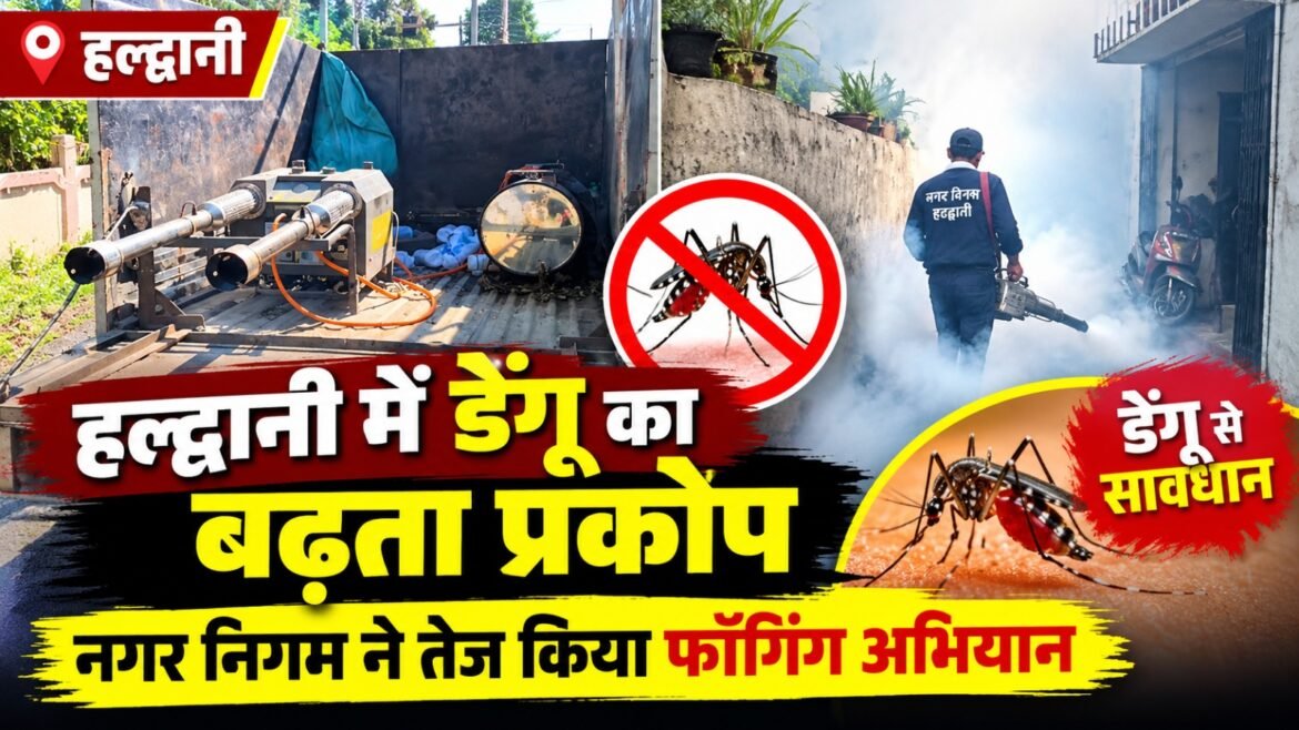 हल्द्वानी में डेंगू का बढ़ता प्रकोप, नगर निगम ने तेज किया फॉगिंग अभियान
