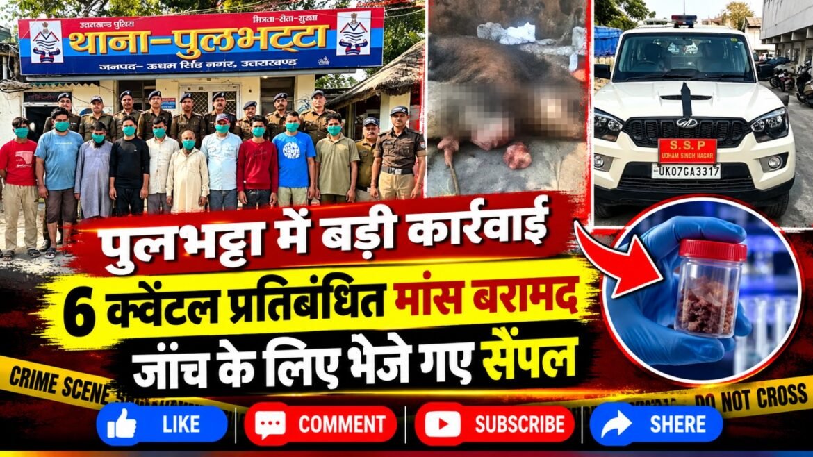पुलभट्टा पुलिस की बड़ी कार्रवाई, सिरौली कला में 6 कुंतल संदिग्ध मांस बरामद, 10 आरोपी गिरफ्तार